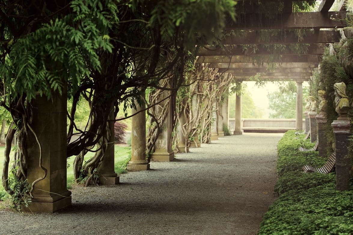 Biltmore Estate Pergola